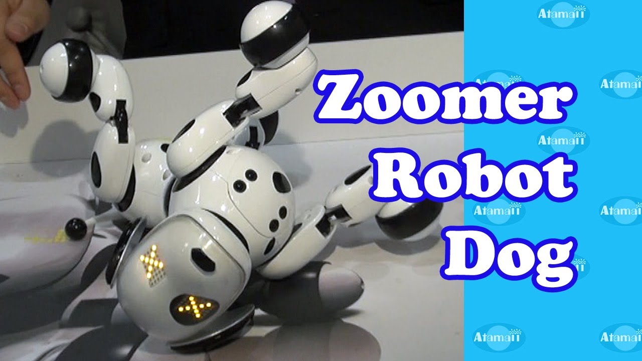 Zoomer Robot Dog New York Toy Fair YouTube