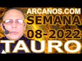 Video Horscopo Semanal TAURO  del 13 al 19 Febrero 2022 (Semana 2022-08) (Lectura del Tarot)
