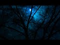 Norman Greenbaum Spirit In The Sky 1969