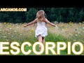 Video Horóscopo Semanal ESCORPIO  del 2 al 8 Octubre 2022 (Semana 2022-41) (Lectura del Tarot)