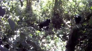 V meste pod Urpínom začal 20. Envirofilm so skvelým programom