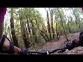 Soquel Demo Forest