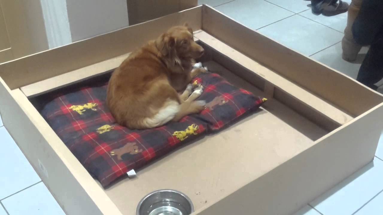 How to make a Whelping Box YouTube