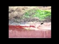 BEST OF COMPILATION VIDEO - WATERS RIVERS LAKES - TURN BLOOD RED - 2010 - 2011 - 2012.flv