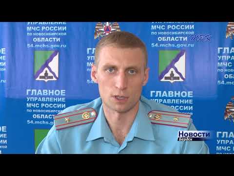 Тополиный пух, жара, пожары: в Бердске начинается опасная пора Тополиный пух, жара, пожары: в Бердске начинается опасная пора