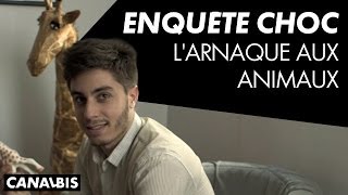 Enquête choc : l'arnaque aux animaux - CANAL BIS