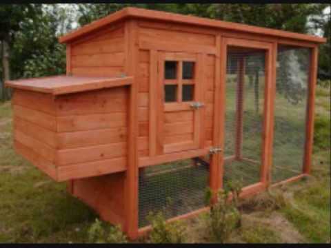 DIY Chicken Coop Plans for Building a Chicken Coop - YouTube