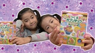 つくるガブリチュウ soft candy making kit