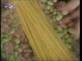 Spaghetti mantecati con salsiccia, fave e pecorino