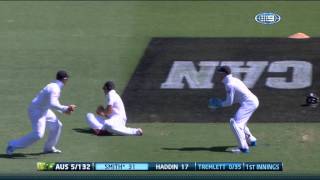 Broad bags five, as Haddin resists