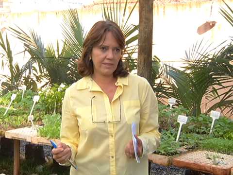 Clima quente e seco em Uberlândia e região provoca altas no preço das hortaliças