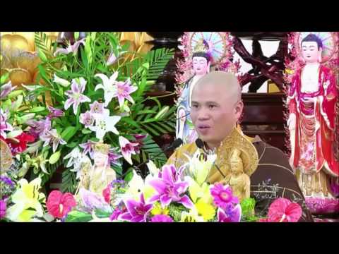Kinh Vô Lượng Thọ tập 33 - ĐĐ. Thích Giác Nhàn