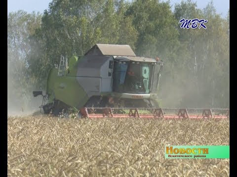 Полпред Президента РФ в СФО С. Меняйло посетил Искитимский район, контролируя ход уборочной кампании Полпред Президента РФ в СФО С. Меняйло посетил Искитимский район, контролируя ход уборочной кампании