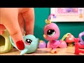 LPS: Darcy's Pet Shop (Eps.2)