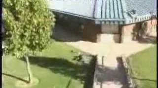 8 super Idioti