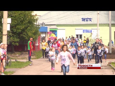 Более 500 человек приняли участие в «Кроссе нации» в Искитиме