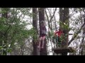 Tallahassee Museum: The Movie