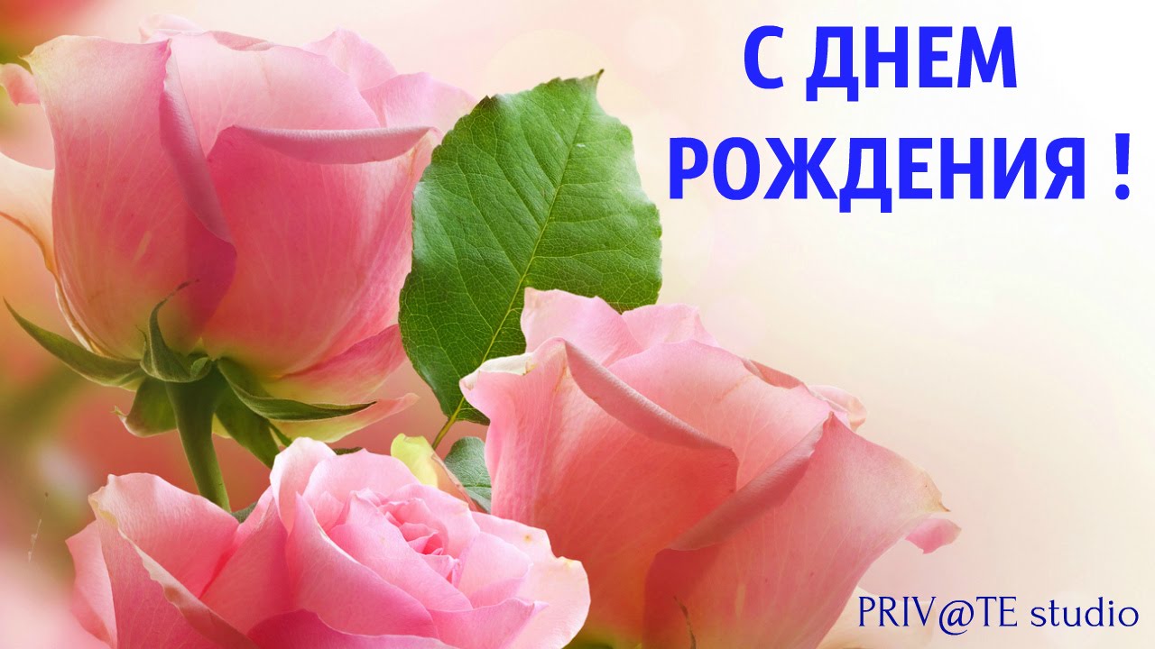 Поздравления с днём рождения мужчине универсальные Поздравления с днём рождения мужчине универсальные