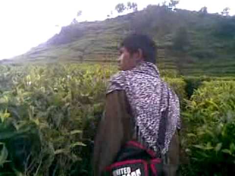 Film Jadul 1996 Gejolak Nafsu Full Khusus Dewasa Youtube | Cerita Seks