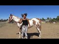 How to: Mount a Horse Bareback