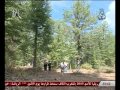REPORTAGE SUR TEXENNA WILAYA DE JIJEL