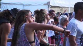 Big Day Out 2014 Auckland Highlights