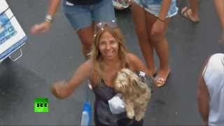 Карнавал животных в Рио-де-Жанейро