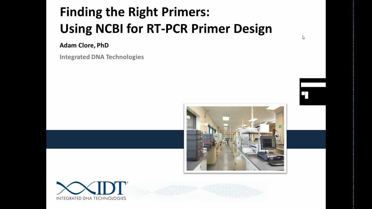 Finding the Right Primers Using NCBI for RTPCR Primer Design YouTube