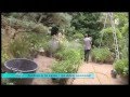 Jardin d'Agapanthe le jeudi 26 septembre 2013