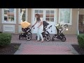 Bugaboo Buffalo, Bugaboo Cameleon 3 and the Bugaboo Donkey Comparison