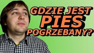 Gdzie Jest Pies Pogrzebany? - Okruchy Ogarniętości