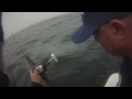 DEEP SEA KING SALMON FISHING IN NOR CAL PART 2