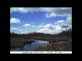 Toimi trailcam spring