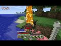 Let's Play Minecraft Episode 51 - The End Part 3