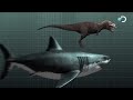 The Nightmarish Megalodon | Sharkzilla -- Shark Week 2012