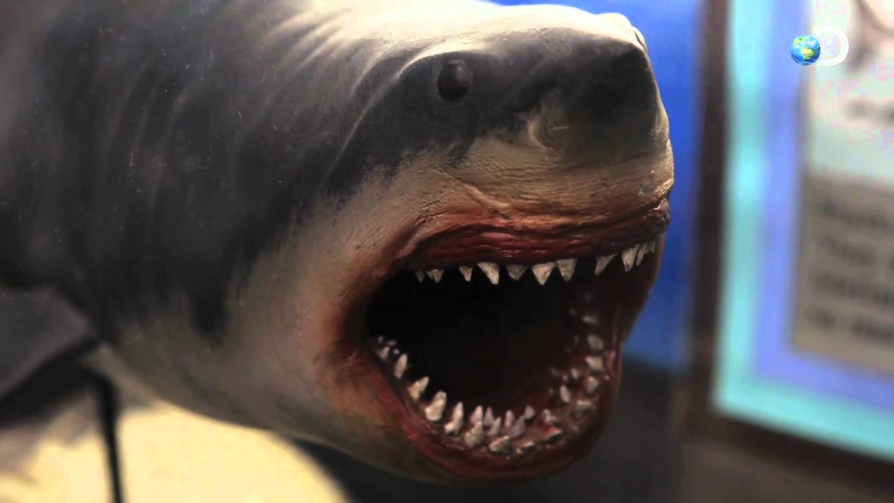 The Nightmarish Megalodon | Sharkzilla -- Shark Week 2012 - YouTube