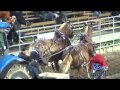 tire de chevaux st-antonin 2014 vidéos 04