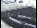 VINICOLE: TRIBAIE ITALIE 2008