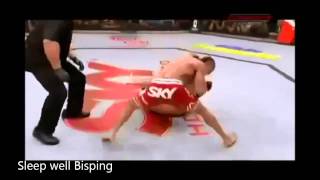 Vitor Belfort knocks out Bisping