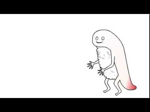 ずーしーほっきーが動き始める! 006