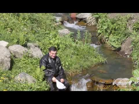 Karap Tavusheci - Mi Hatik Es (Official Video)