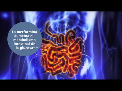 Para Que Sirve La Metformina 850 Mg Para Que Sirve La Metformina 850 Mg