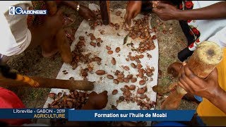 GABON / AGRICULTURE : Formation sur l’huile de Moabi