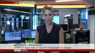 Minority Languages: BBC World's Newsroom, Anne-Marie Tomchak