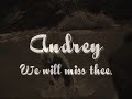 Audrey a Tribute