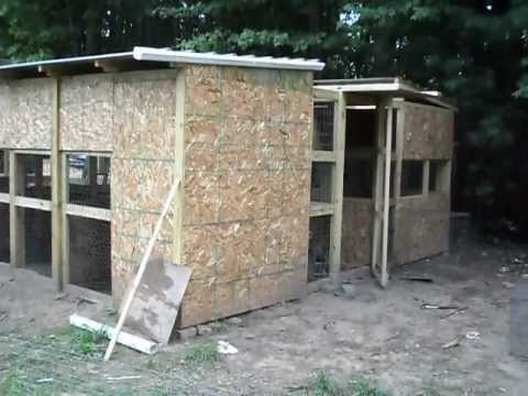 Thai/Ganoi game birds,Runing chicken pen. - YouTube