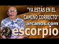 Video Horscopo Semanal ESCORPIO  del 25 al 31 Agosto 2024 (Semana 2024-35) (Lectura del Tarot)