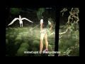 IMVU 3D Sex PORN Animation Thailand - Fly Robin Fly : 2011-APR view on youtube.com tube online. IMVU 3D Sex PORN Animation Thailand - Fly Robin Fly : 2011-APR view on youtube.com tube online.