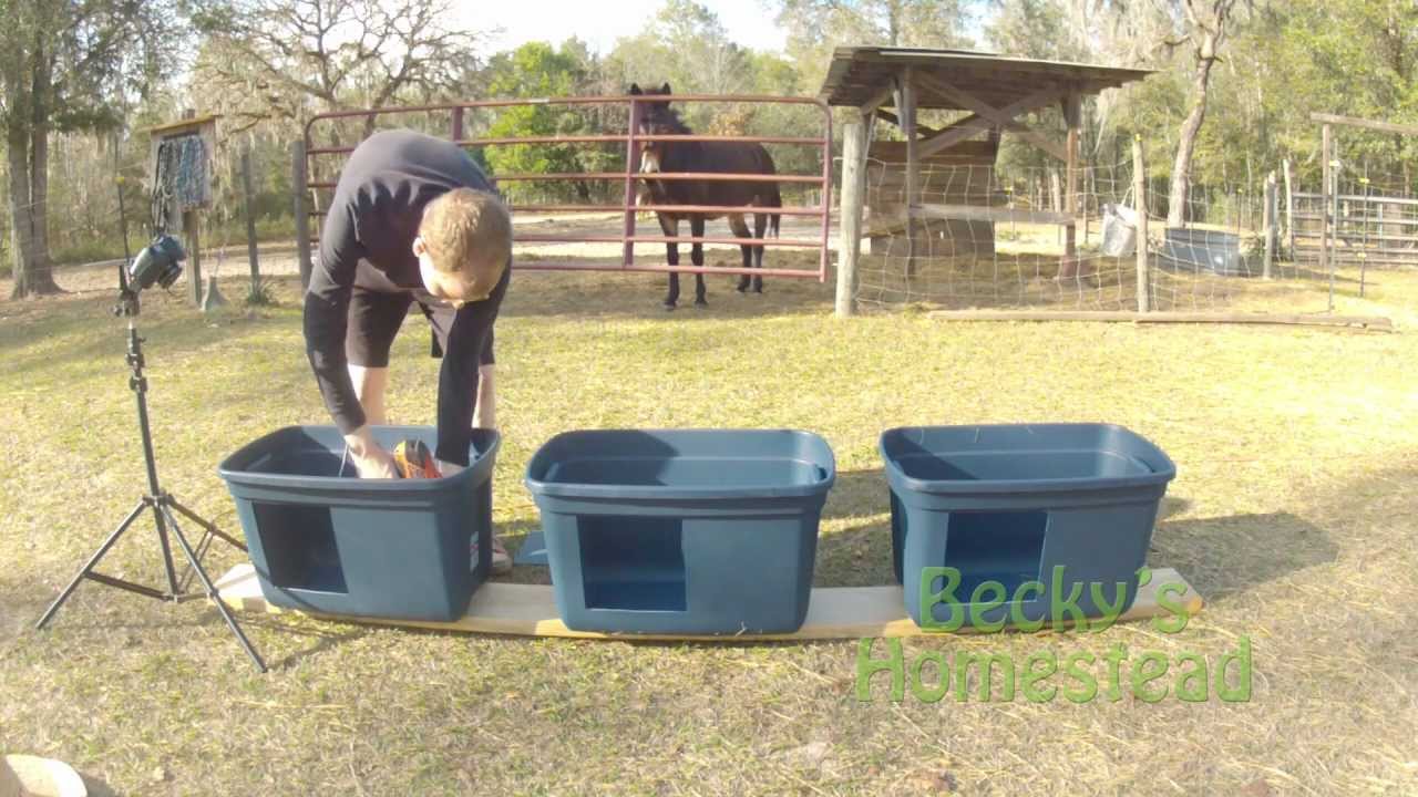 ... Chickens - Chicken Egg Laying Boxes - Chicken Egg Production - YouTube