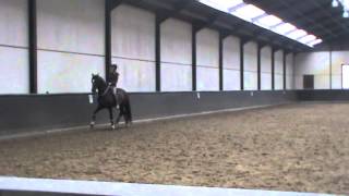 "Because now we are free to be simply us" - Grand prix dressage movements with a simple cord.